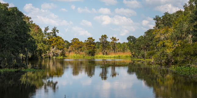 Business Preparedness for Southeast Louisiana's Unique Climate